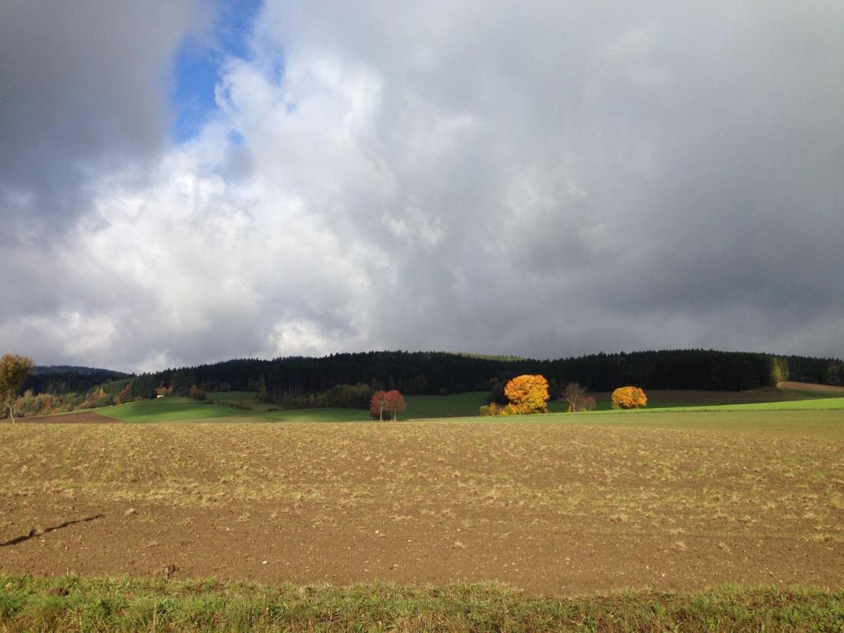 Cozy Pet Friendly Holiday Home In T Nnesberg Tannesberg Экстерьер фото